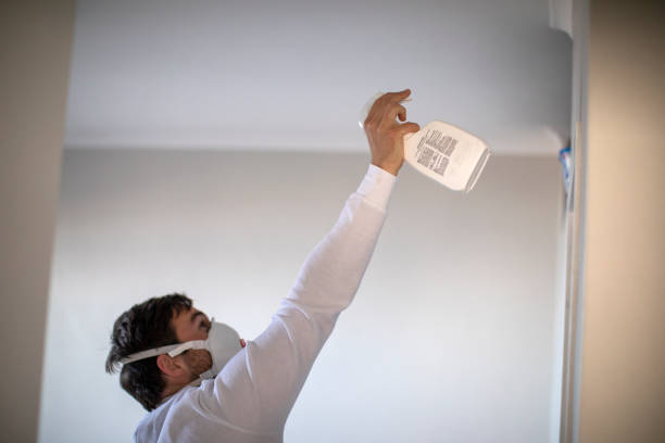 Best Professional Mold Removal  in Vista Center, NJ