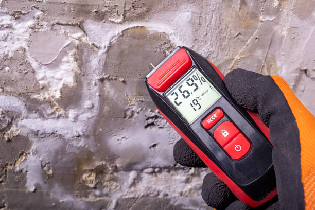 Best Local Mold Removal Service  in Vista Center, NJ
